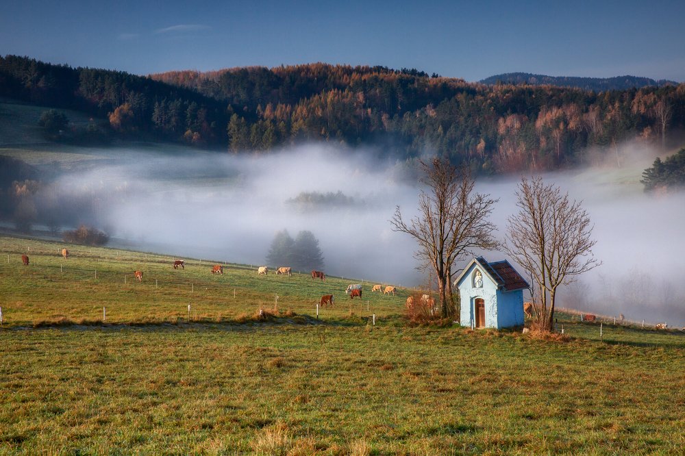 Photograph by Marcin Mirek