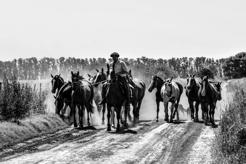 Photograph by Ricardo Kimmich