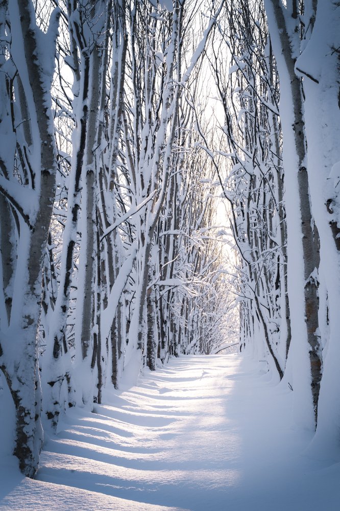 Photograph by Наталья Дементьева