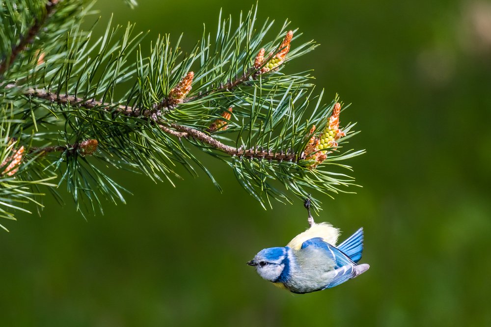 Photograph by Александр Абросимов