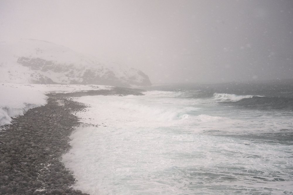 Photograph by Максим Тыщенко