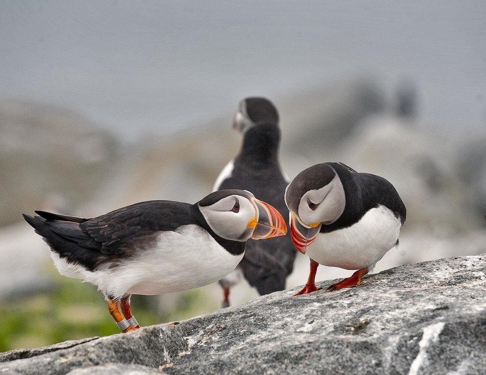 Photograph by gagarin andrey