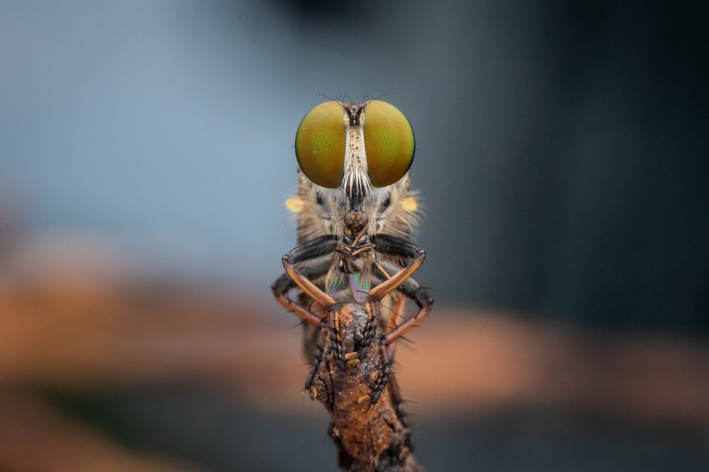 Photograph by Nicholas Ng