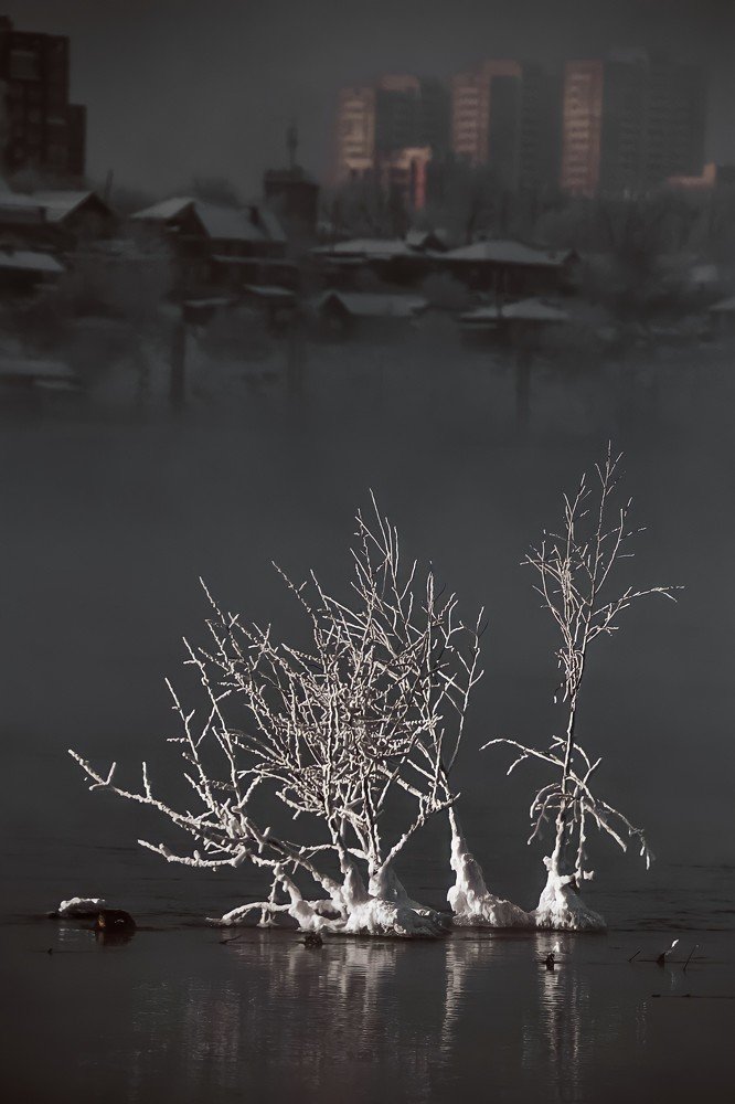 Photograph by Марина Корреа Ластра