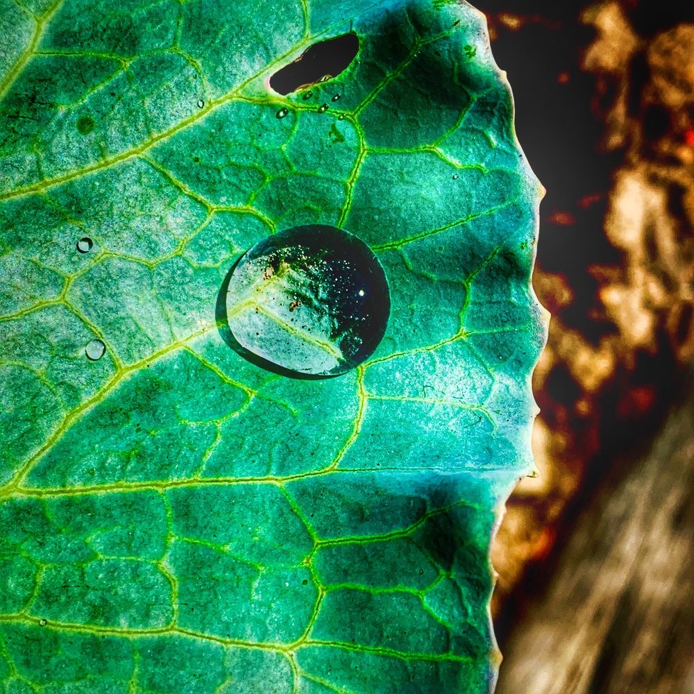 Photograph by Anastasia Malysh