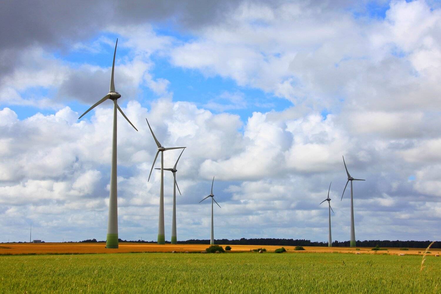 Фотография #5474518