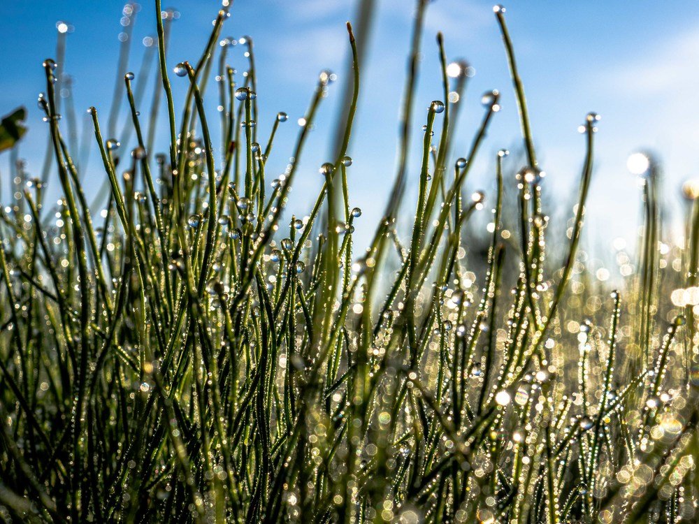 Photograph by mikhail goryachev