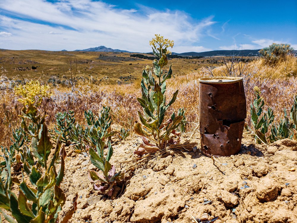 Photograph by Jason Morse