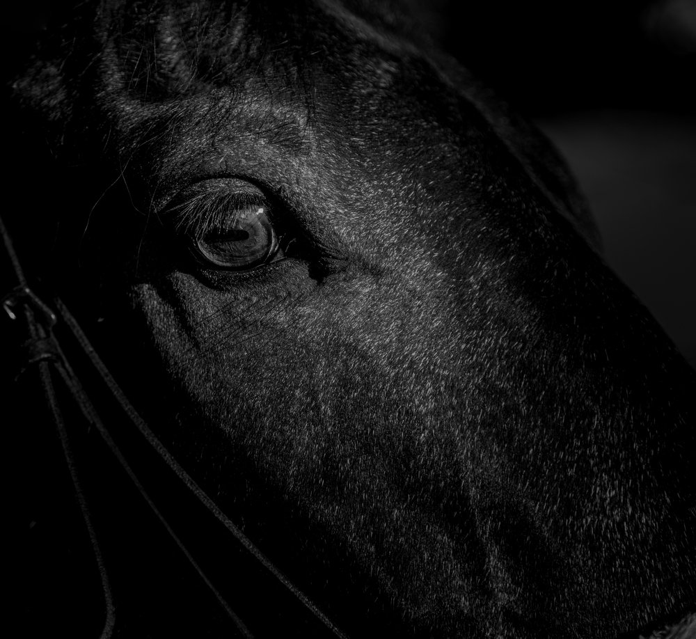 Photograph by Владислав Цой