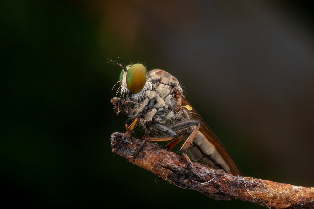 Photograph by Nicholas Ng