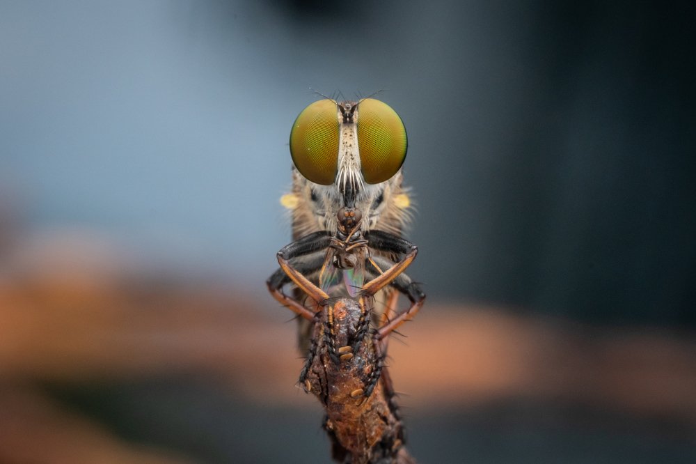 Photograph by Nicholas Ng