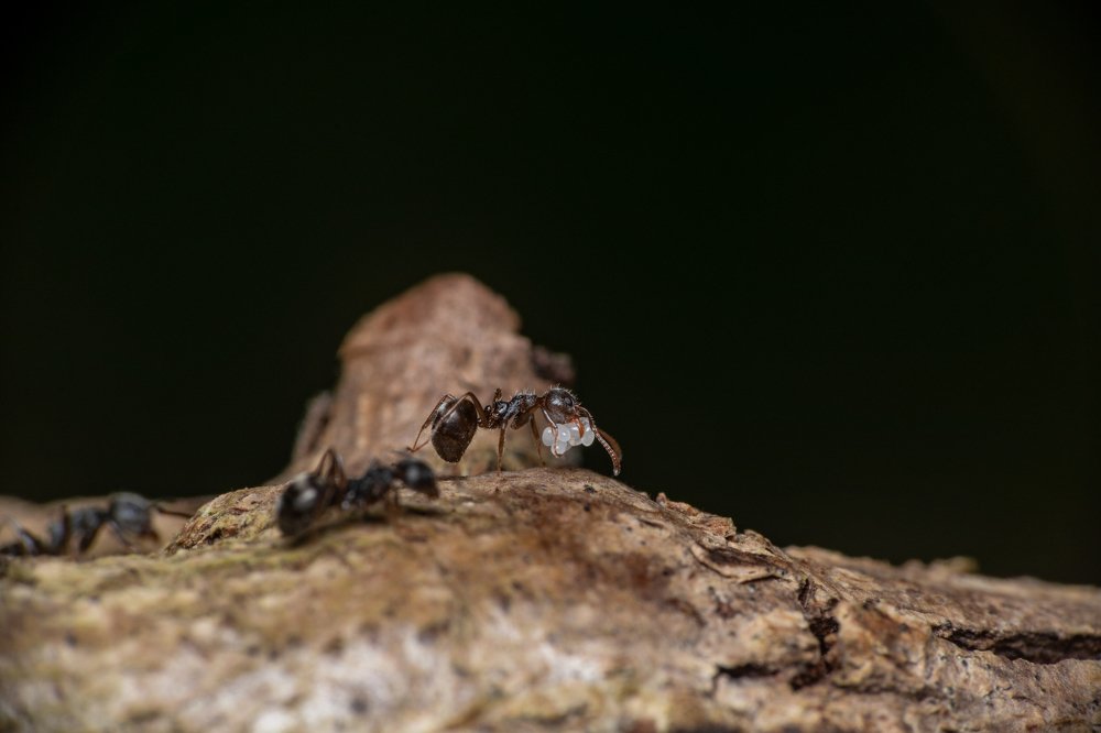 Photograph by Nicholas Ng