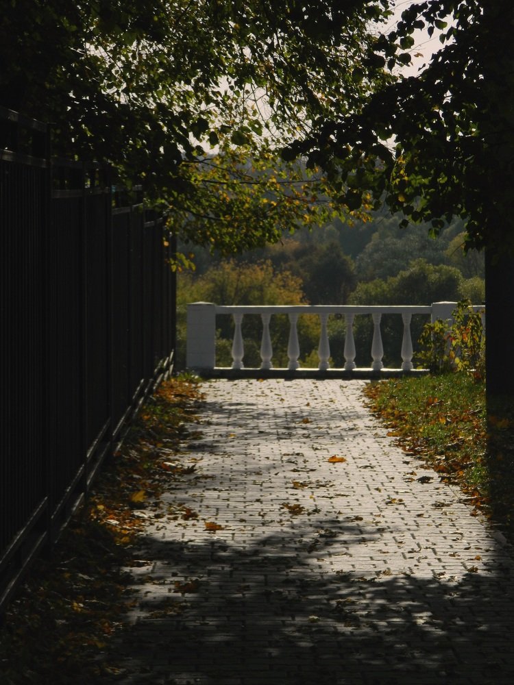 Photograph by Никитина Анна