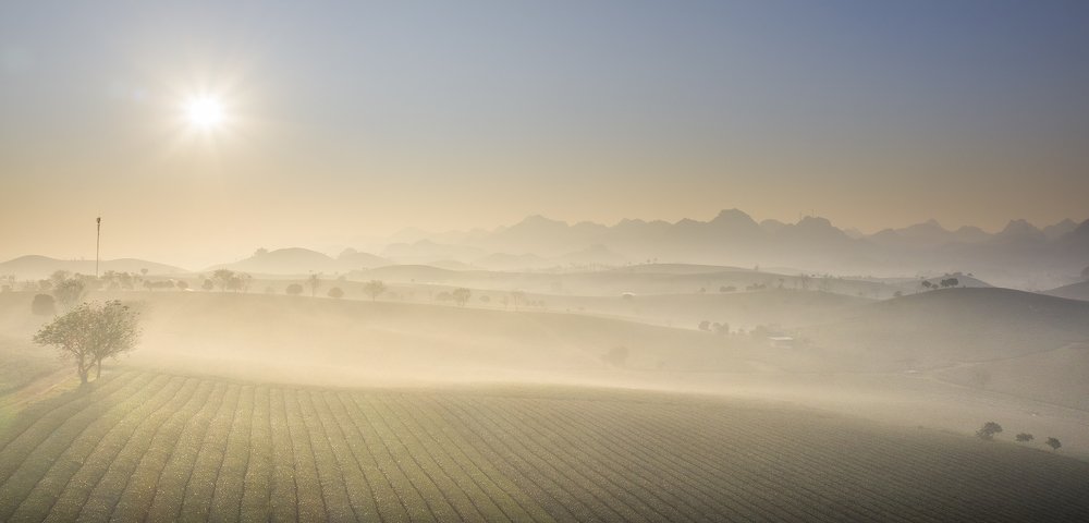 Photograph by Ba Nguyen