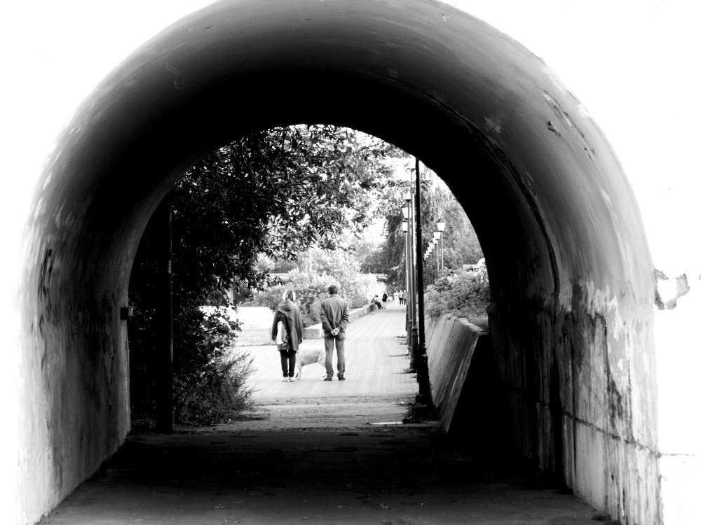 Photograph by Никитина Анна