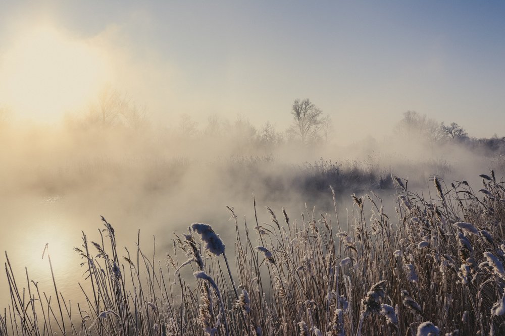 Фотография автора Yermek Zhunusbayev