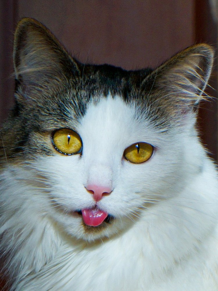 Photograph by Виктор Пономарёв