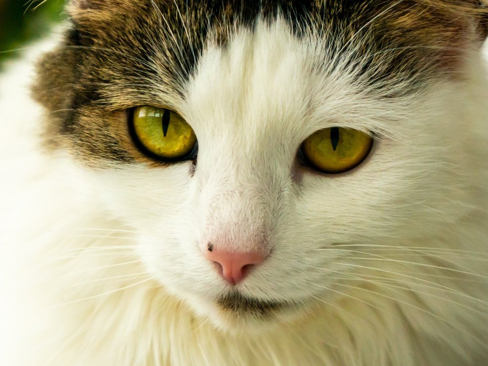 Photograph by Виктор Пономарёв