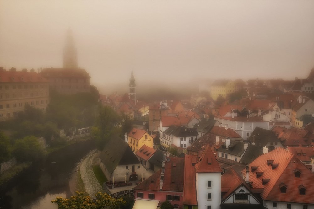 Туманное утро