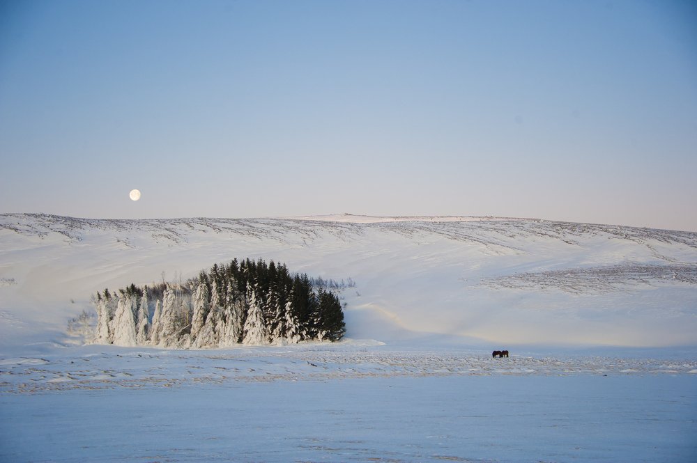 Photograph by Анастасия