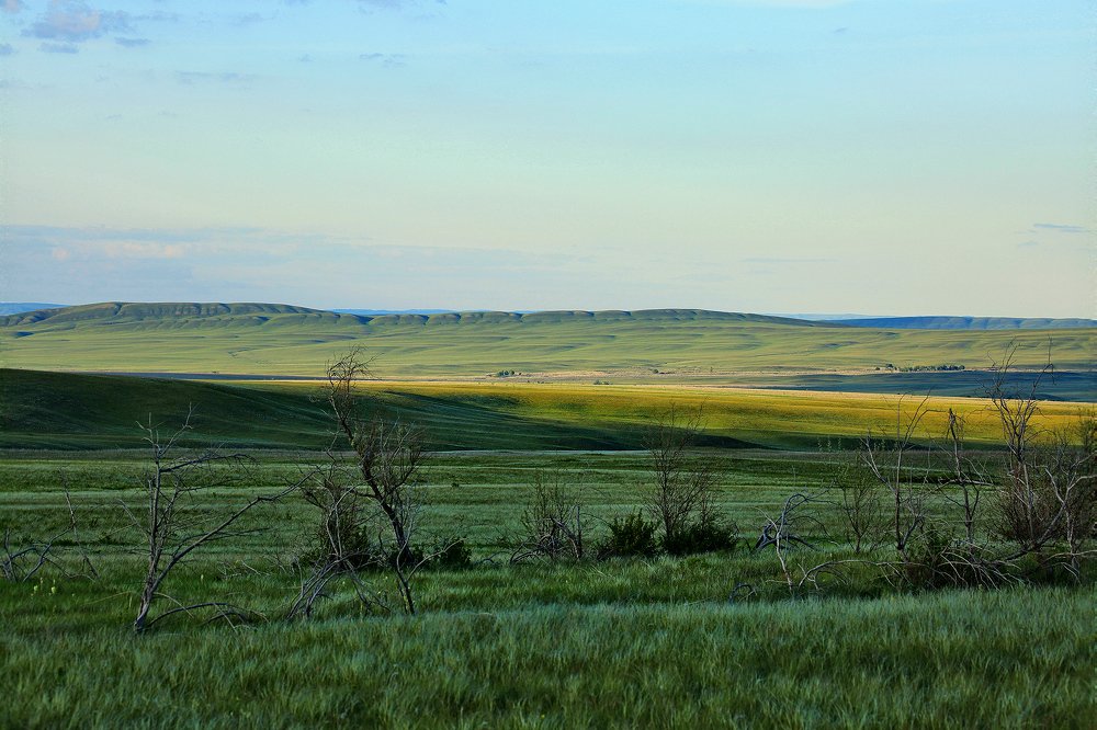 Photograph by Жданов Сергей