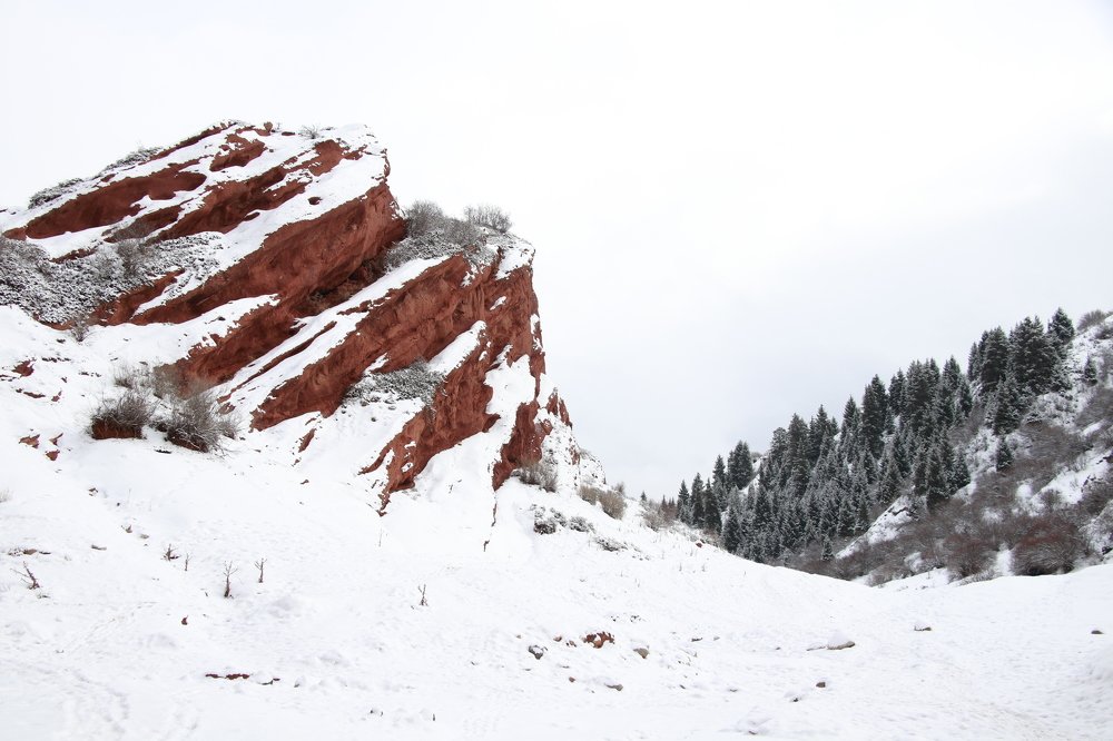 Photograph by Виктория Пономарева