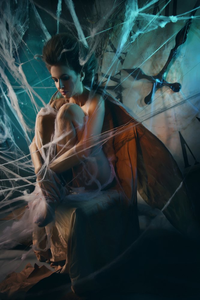 В паутине времени