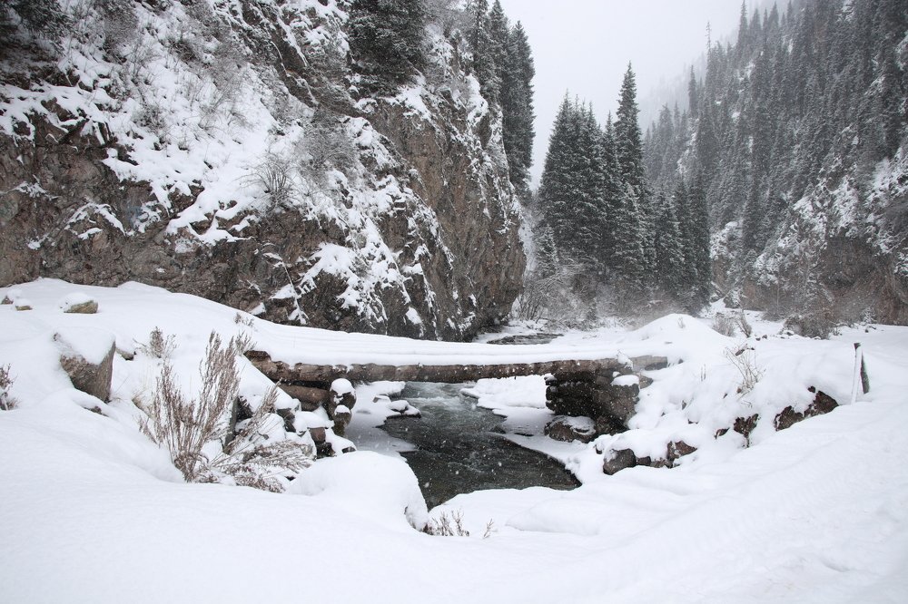 Photograph by Виктория Пономарева