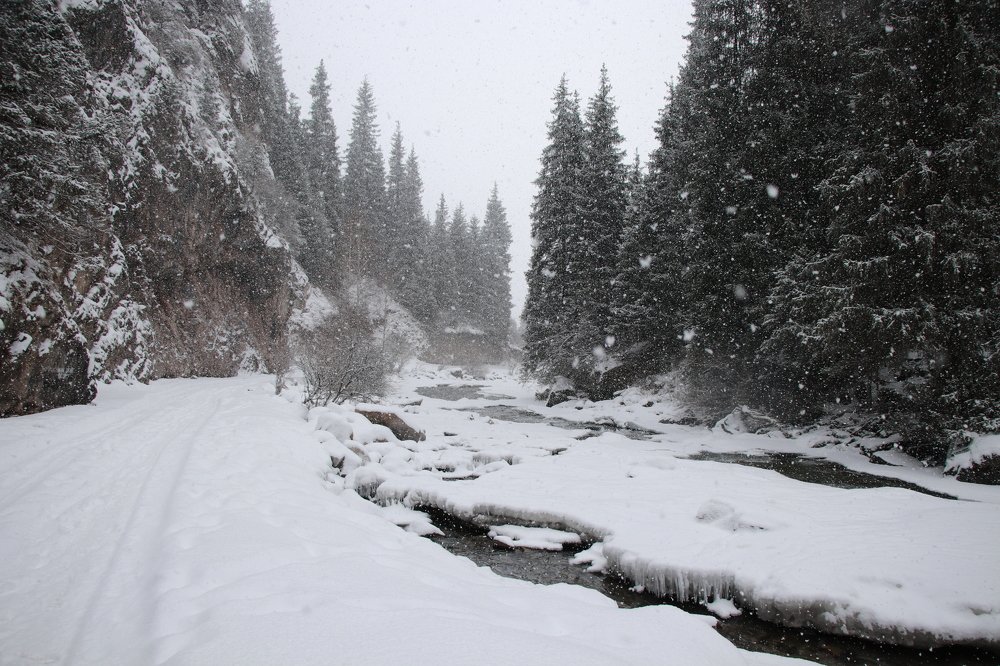 Photograph by Виктория Пономарева