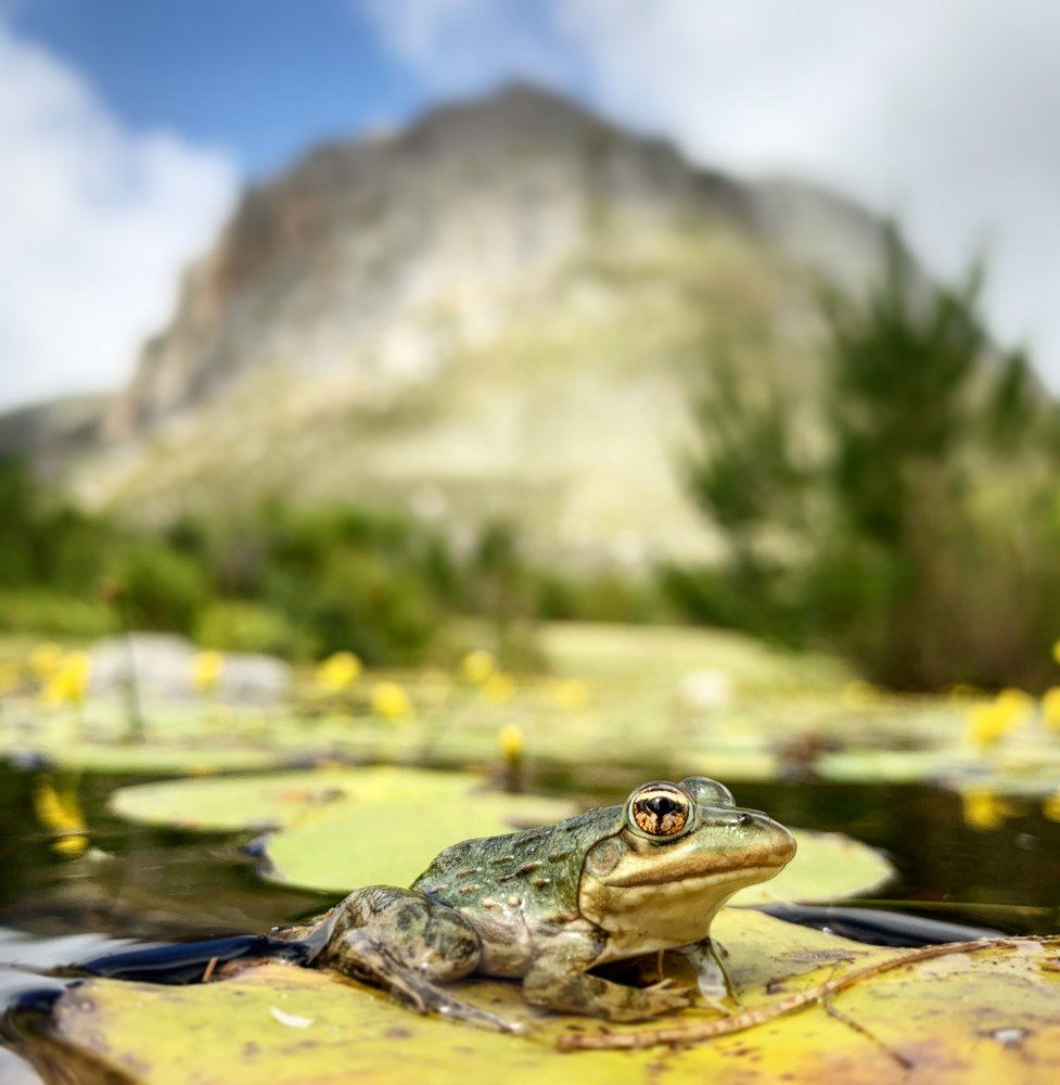 Photograph by Candice