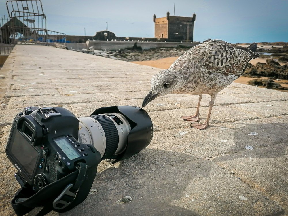 Photograph by Katja Sen