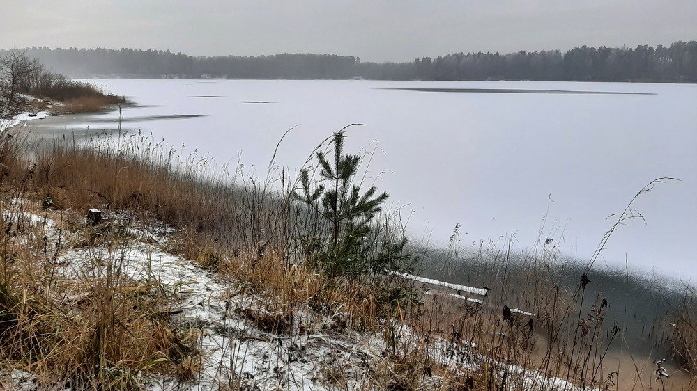 Photograph by Марийона Савоненко