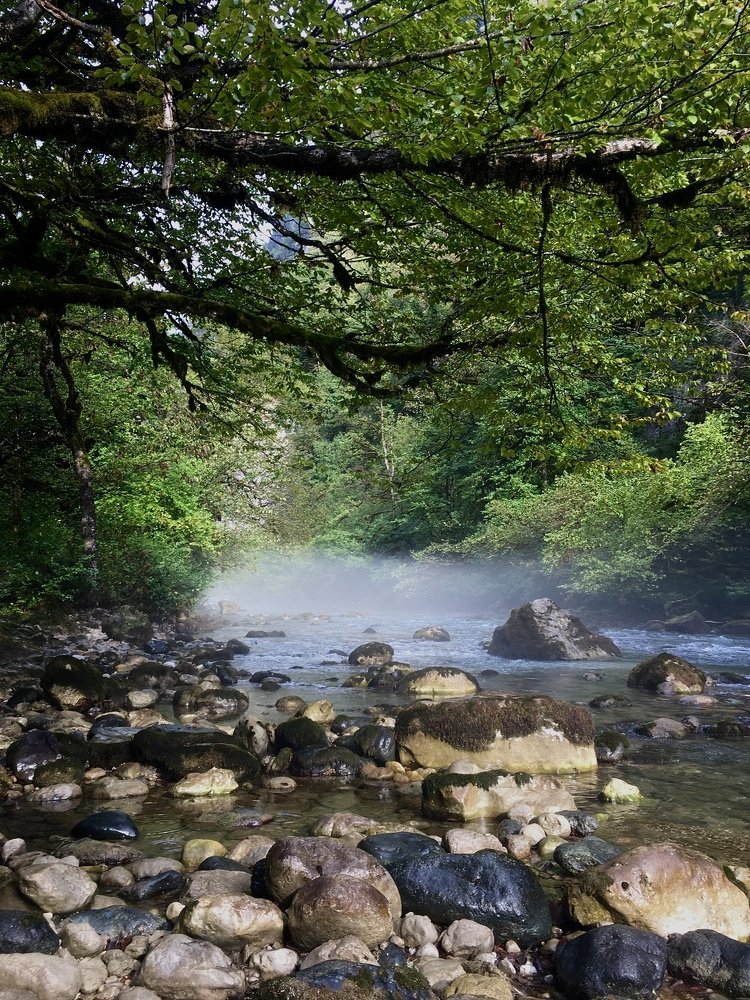 Photograph by Маргарита Тиунова