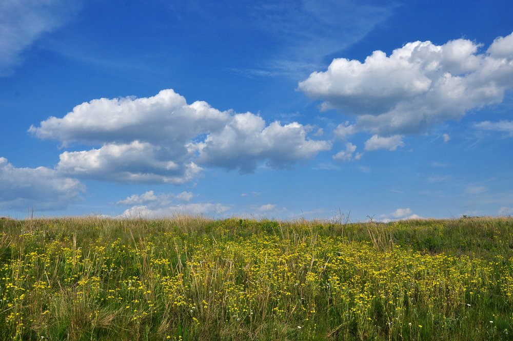 Photograph by Александр Штифман