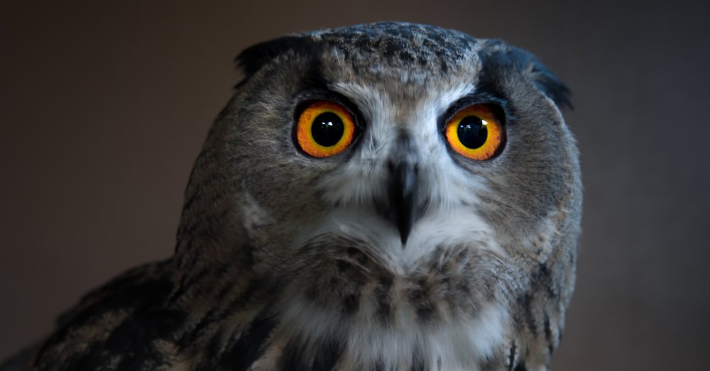 Photograph by Екатерина Кицмен