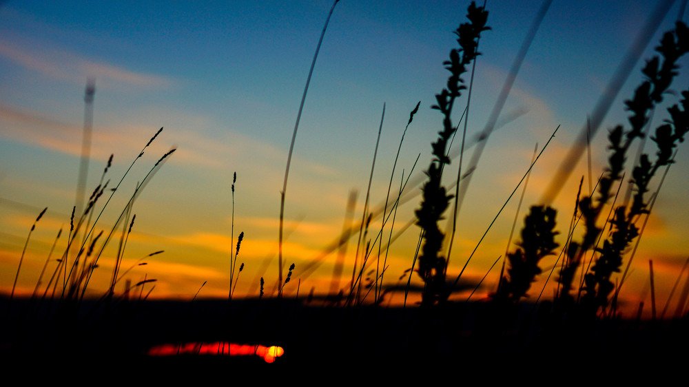 Фотография автора Дмитрий Земсков