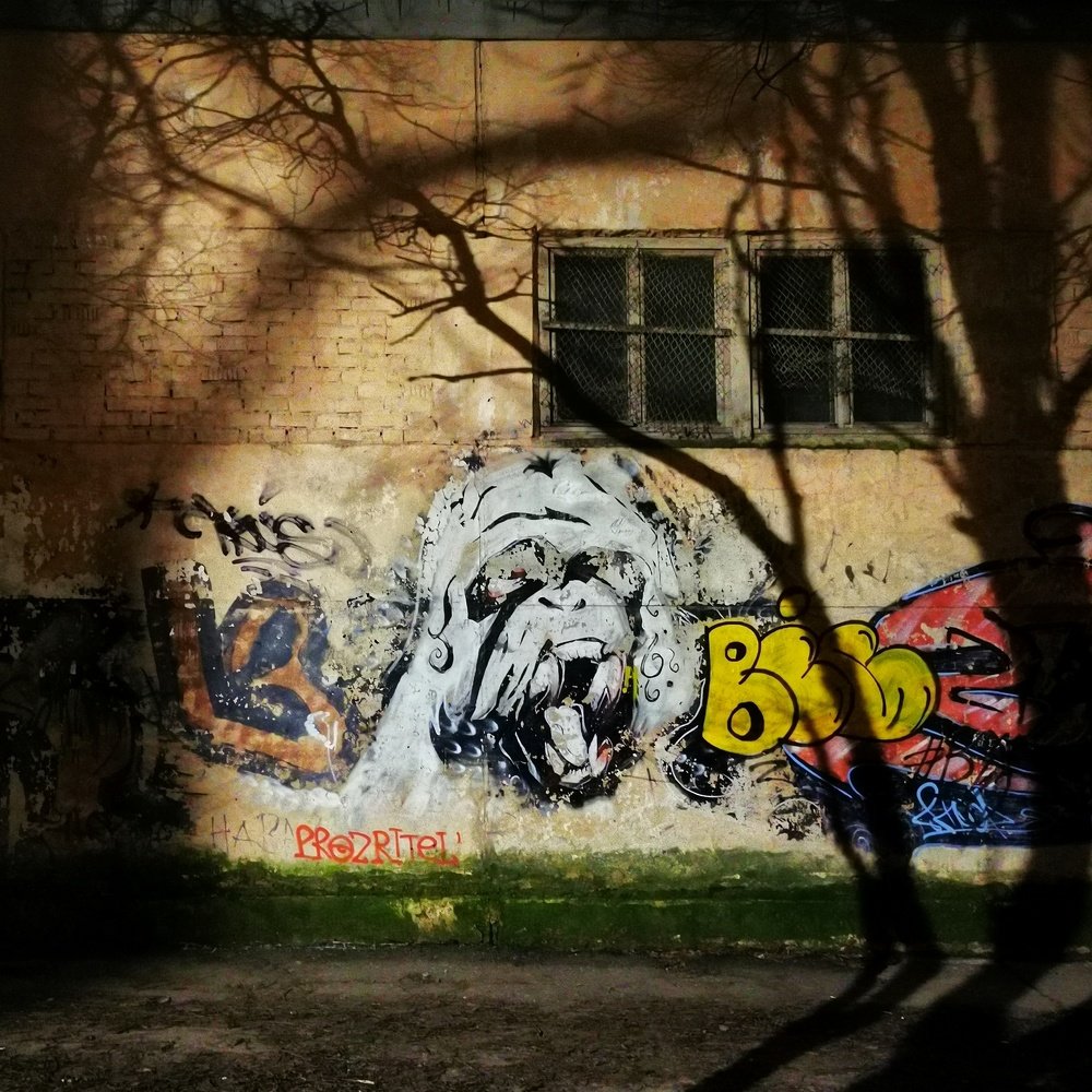 Photograph by Андрей Сухорученков