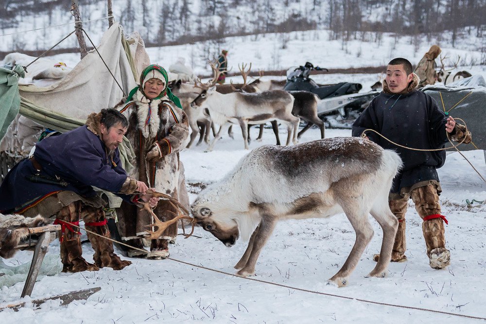 Photograph by Марина Маликова