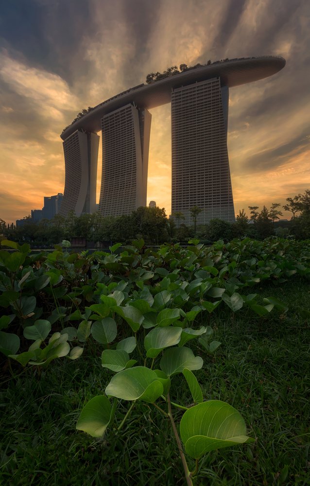 Photograph by WANG QIAN