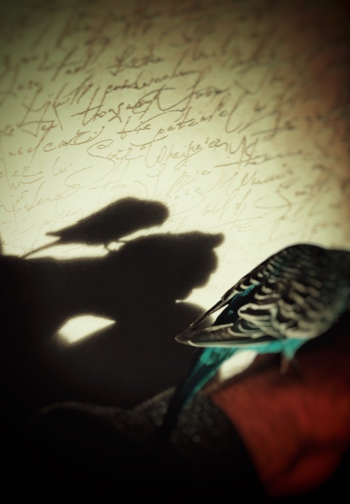 Photograph by Алексей Кроль