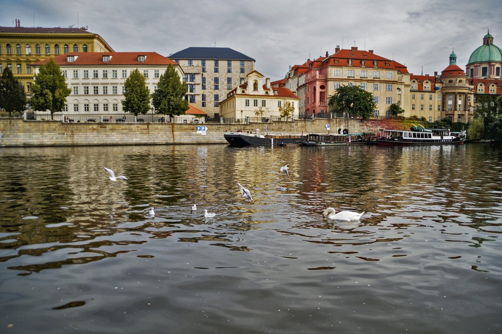 Photograph by Владимир Бутов