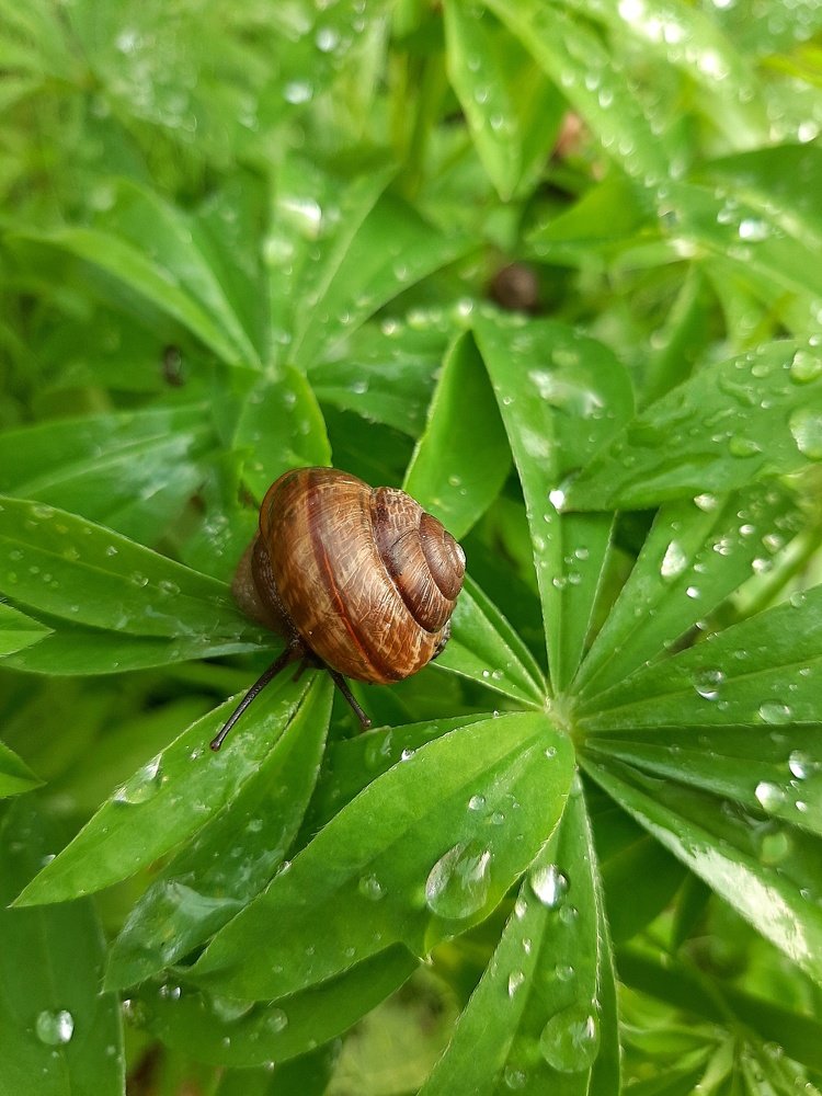 Photograph by Алина Голубева