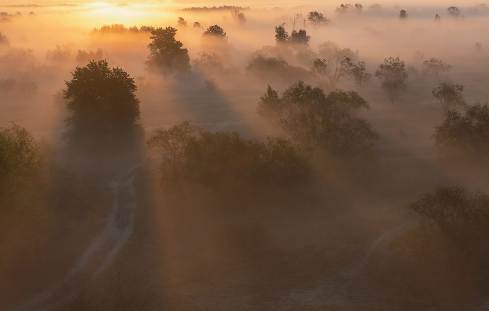 Утренний свет