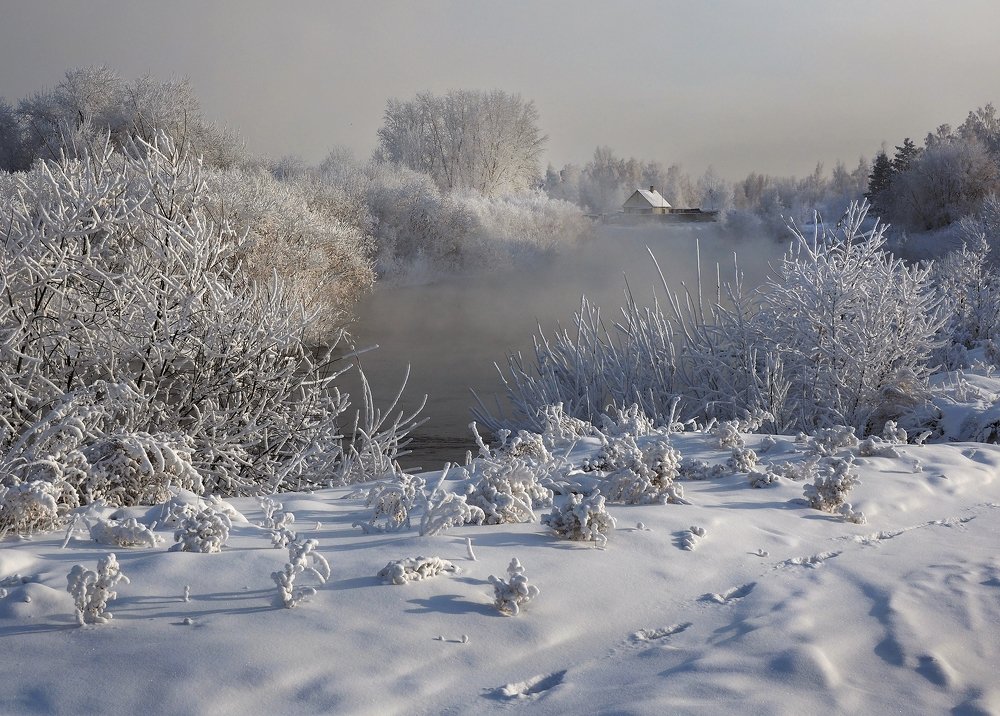 Photograph by Александр Попов