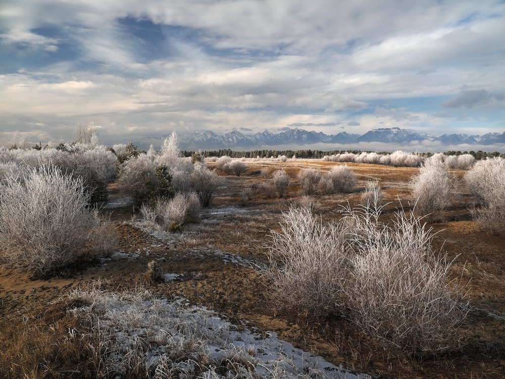 Photograph by Александр Попов