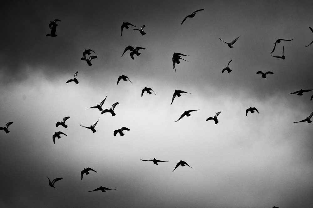 Photograph by Bojan Senet