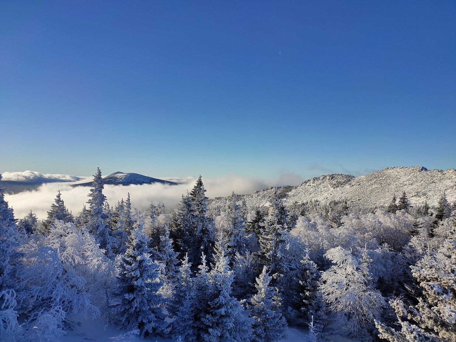 Photo #5475772