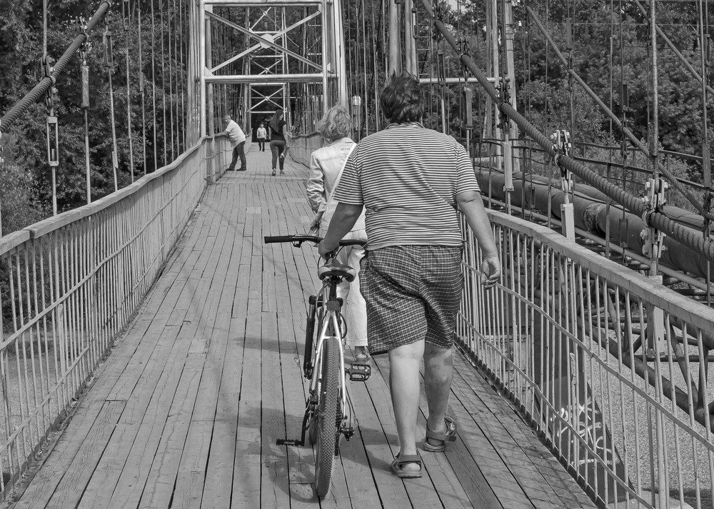 Жизнь - полоски