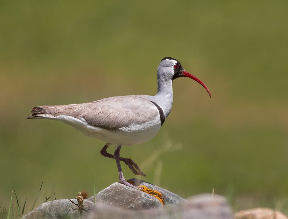 Photograph by Сергей Волков