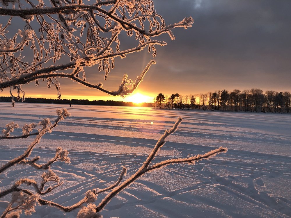 Photograph by ЮЛИЯ СУЛИМОВА
